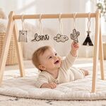 Childhome Gym Toys Canvas Conjunto de 5 Brinquedos