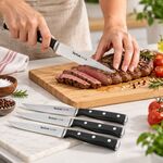 Conjunto de 4 Facas Tefal Ice Force